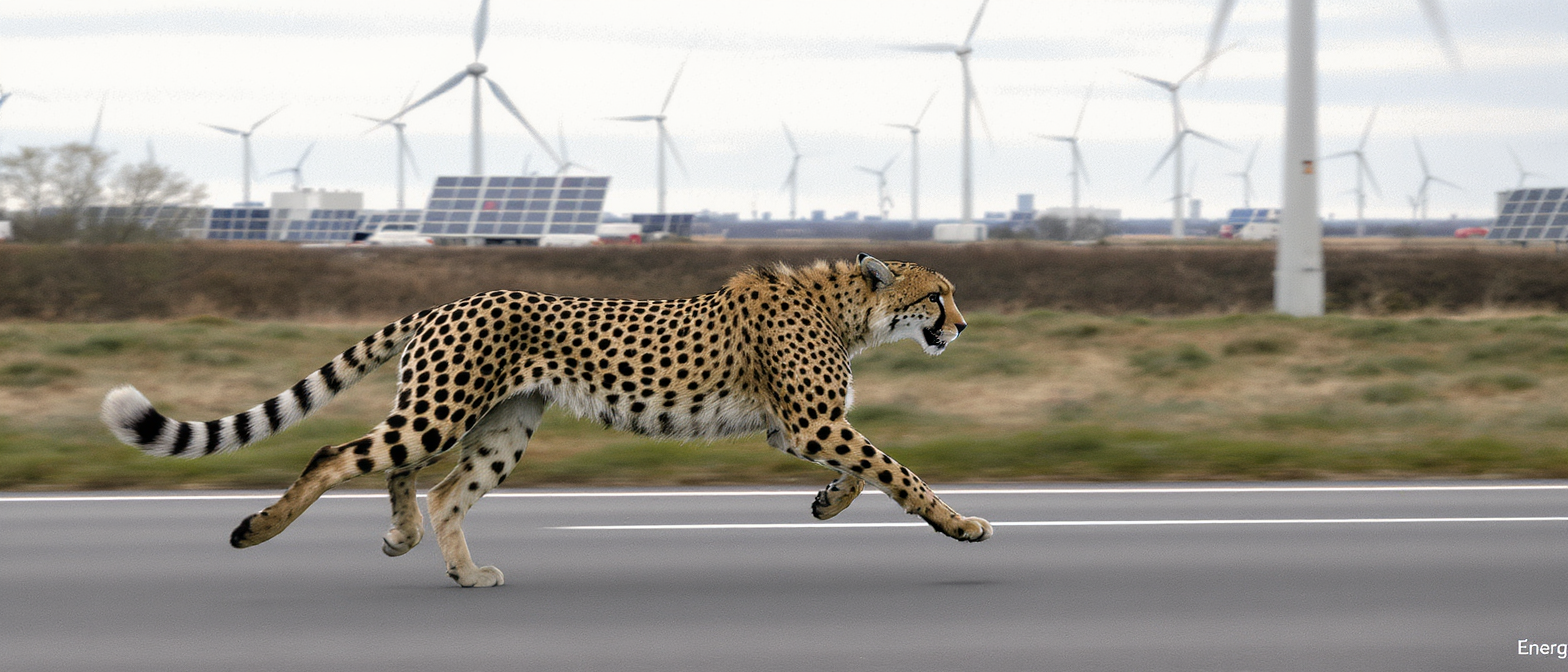 découvrez comment l'allemagne transforme sa stratégie énergétique à travers une analyse inspirée du guépard, par cécile maisonneuve.